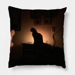 Night Cat Pillow