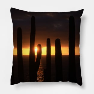 A Cactus Sunset Pillow