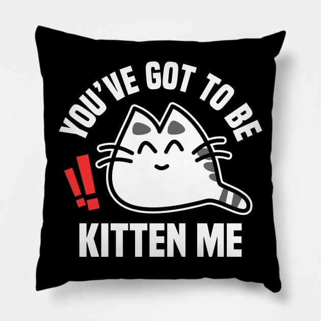 You’ve Got To Be Kitten Me Funny Cat Design Pillow by teesbyfifi