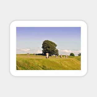 Avebury Stone Circle Wiltshire England Magnet