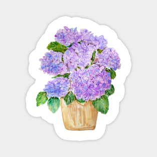 blue purple hydrangea in golden pot watercolor Magnet