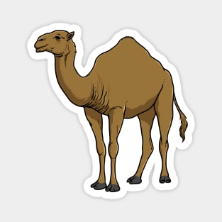 Camel Magnet