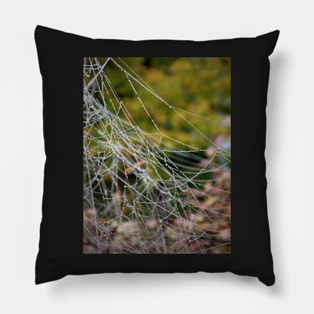 A wet spiderweb Pillow by TiiaVissak