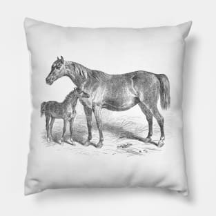 Mare and Foal Vintage Horse Illustration Pillow