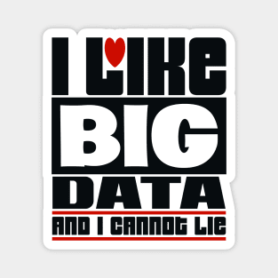 I like big data and I cannot lie Magnet