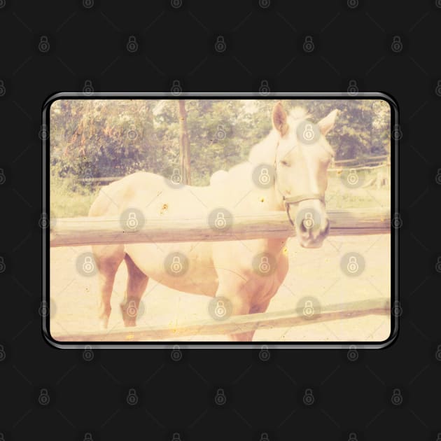 Retro Palomino Horse at Fence by The Golden Palomino