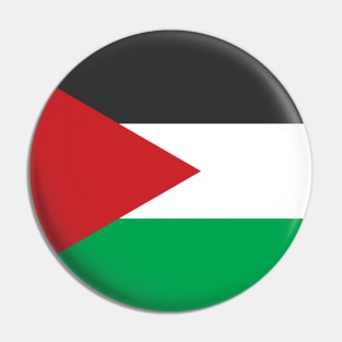 Palestine Flag Pin