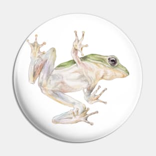 Frog Ascending Pin
