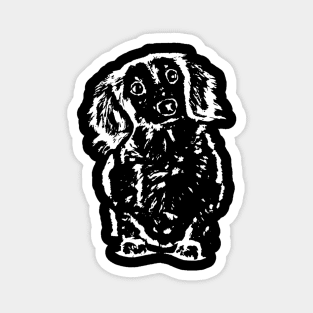 Long Haired Dachshund Sketch Magnet