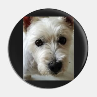 Merry the Westie Pin