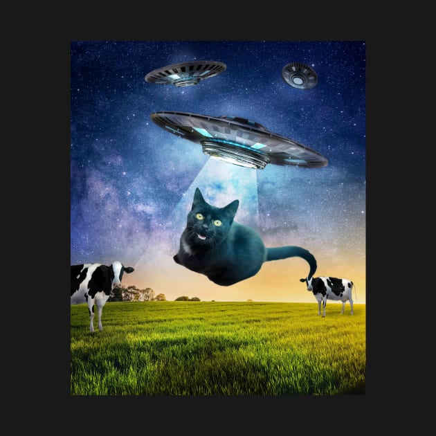 Black Cat UFO Abduction Funny by Random Galaxy