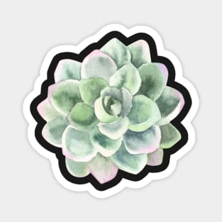 Desert Rose, Succulent Greenery Magnet