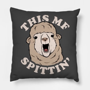 This MF Spittin Meme Llama Pillow