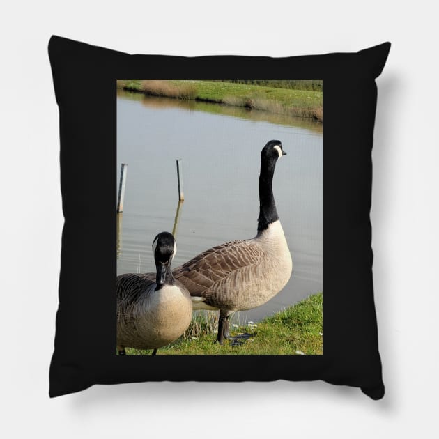 beautiful nature, wild geese, gift Pillow by AnnaMartaFoley