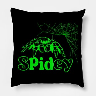 Spidey Web Pillow