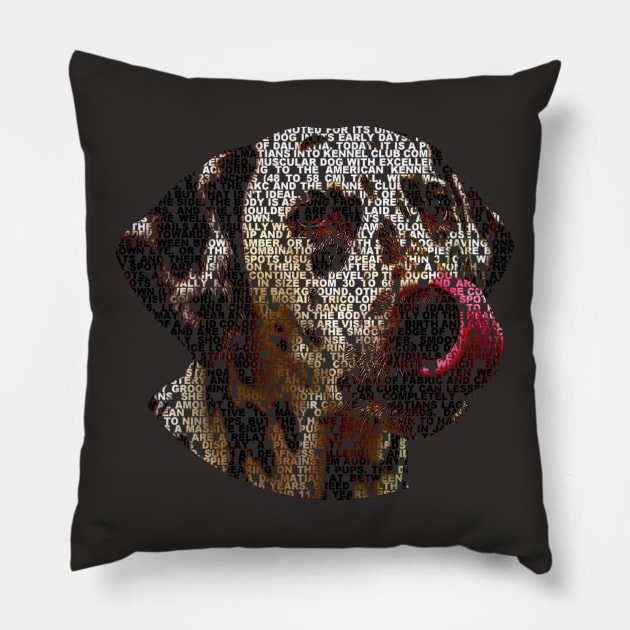 Dalmatian Info Graphic Pillow by shellysom91