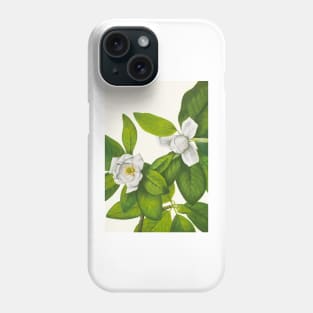 Sweetbay magnolia - Botanical Illustration Phone Case