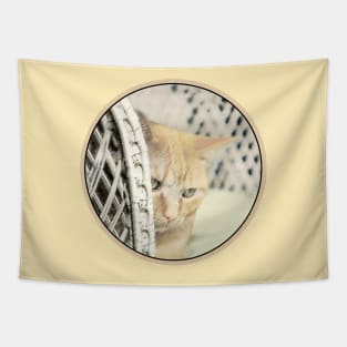 Yellow Tabby Cat Tapestry