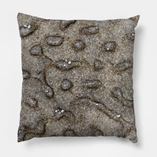 Volcanic Rock Pattern Pillow