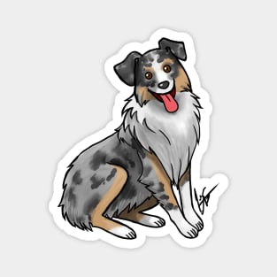 Dog - Australian Shepherd - Blue Merle Magnet