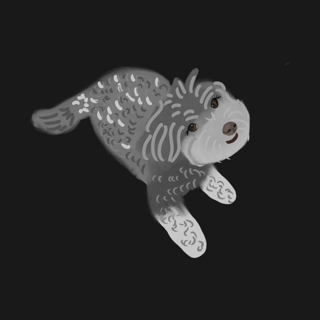 Cute Grey Color Maltipoo Dog by PatternbyNOK