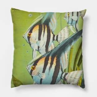 Angel fish at eastern garden aquarium, Florida postcard Pillow