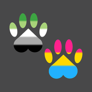 Aro Pansexual Pride Paws T-Shirt