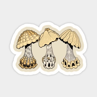 Mushrooms Trippy Beige Magnet