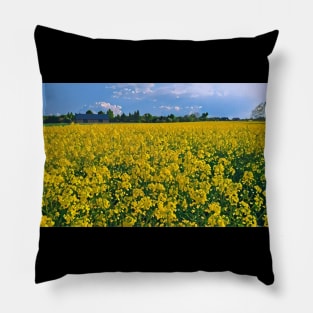 Rapeseed field Pillow