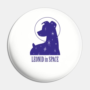 Leonid in Space Pin