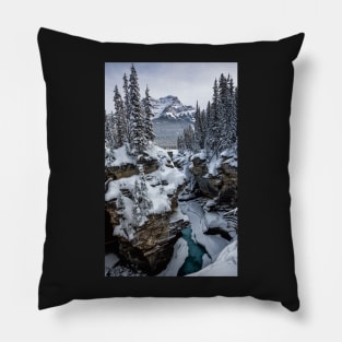 The Contrasts of Winter Pillow