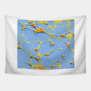 Pluripotent derived neurones, SEM, (C055/8975) Tapestry