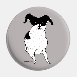 Rat terrier : Pin