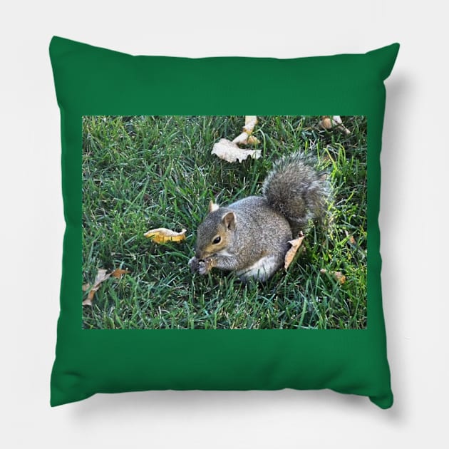 Squirrel Pillow by heyokamuse