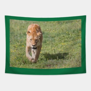 Lioness Tapestry