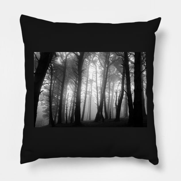 Misty forest on Killiney Hill Pillow by shaymurphy