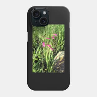 Gladiolus italicus Phone Case