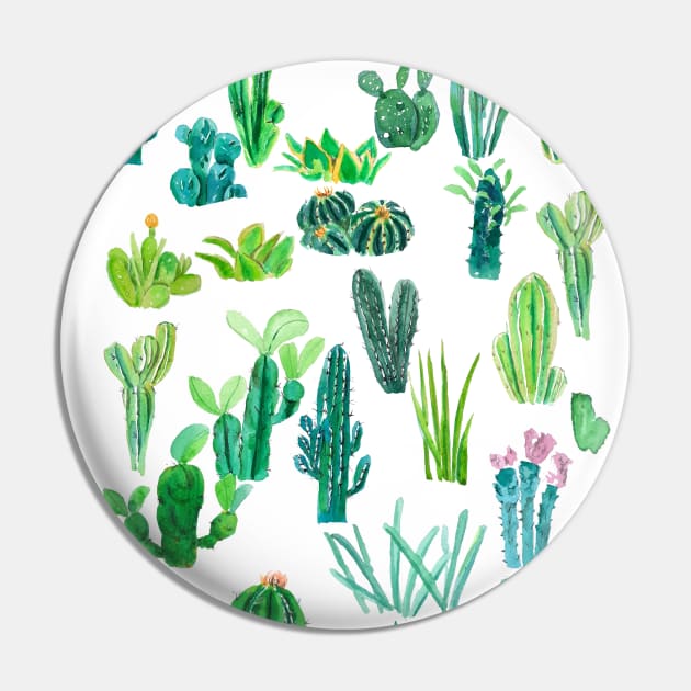 botanical cactus collection painting Pin by colorandcolor