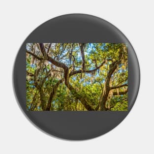 Cumberland Island National Seashore Pin