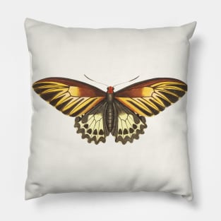 Brown butterfly Pillow