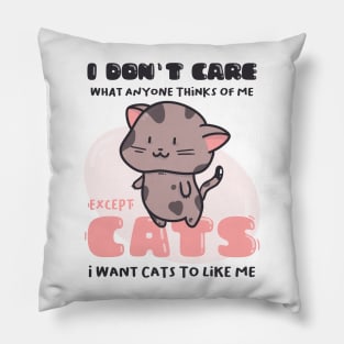 I Don&#39;t Care What Anyone Thinks Of Me. Except cats.. Pillow