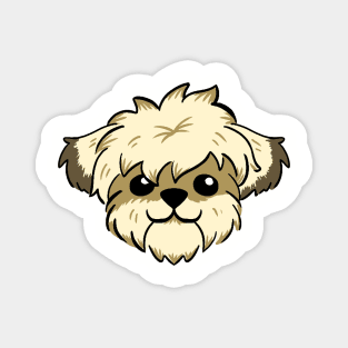 Messy short haired shih Tzu Magnet