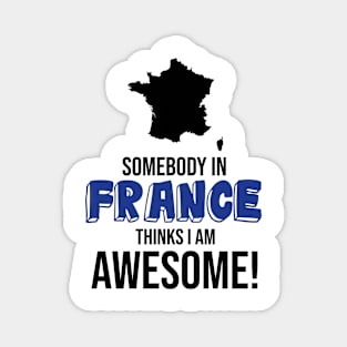 Somebody in France Thinks I Am Awesome Magnet