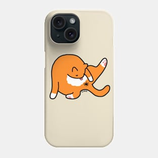 Clean Kitty Phone Case