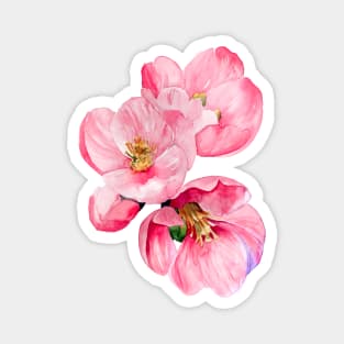 Flowering Quince Magnet