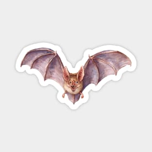 Vampire Bat Magnet