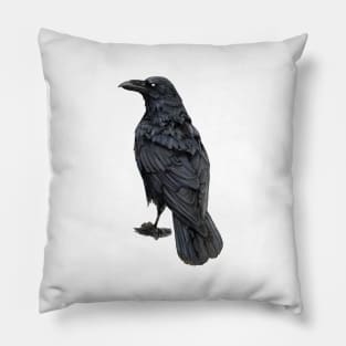 Dark Raven Pillow