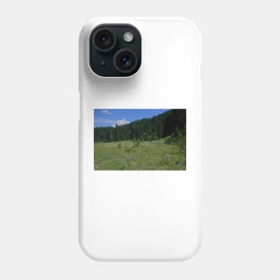 850_4641 Phone Case