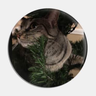 Kitty Up a Tree Pin