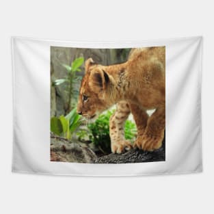 Lion Cub Tapestry